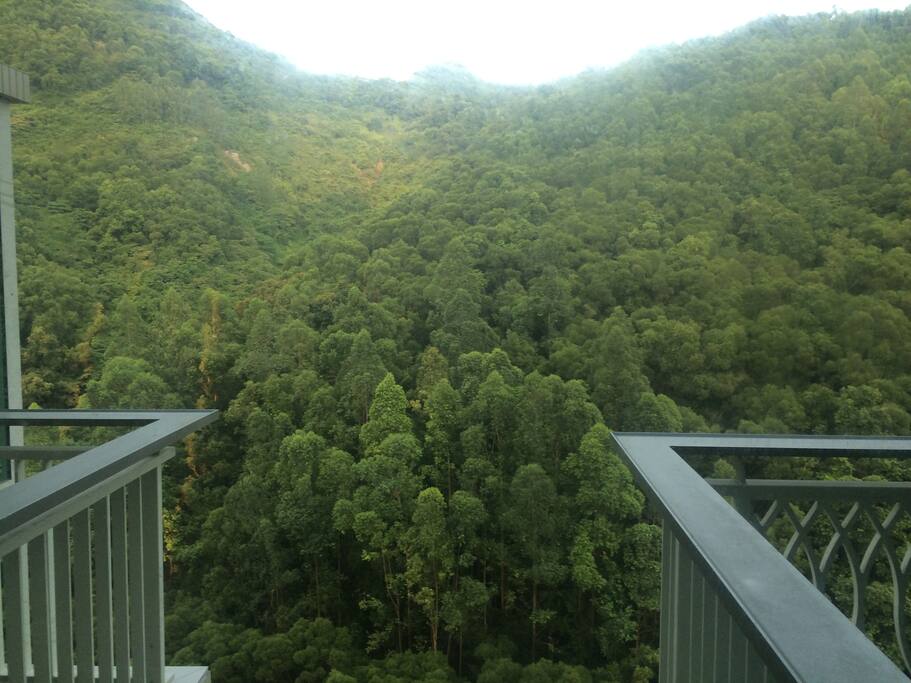 View from living room