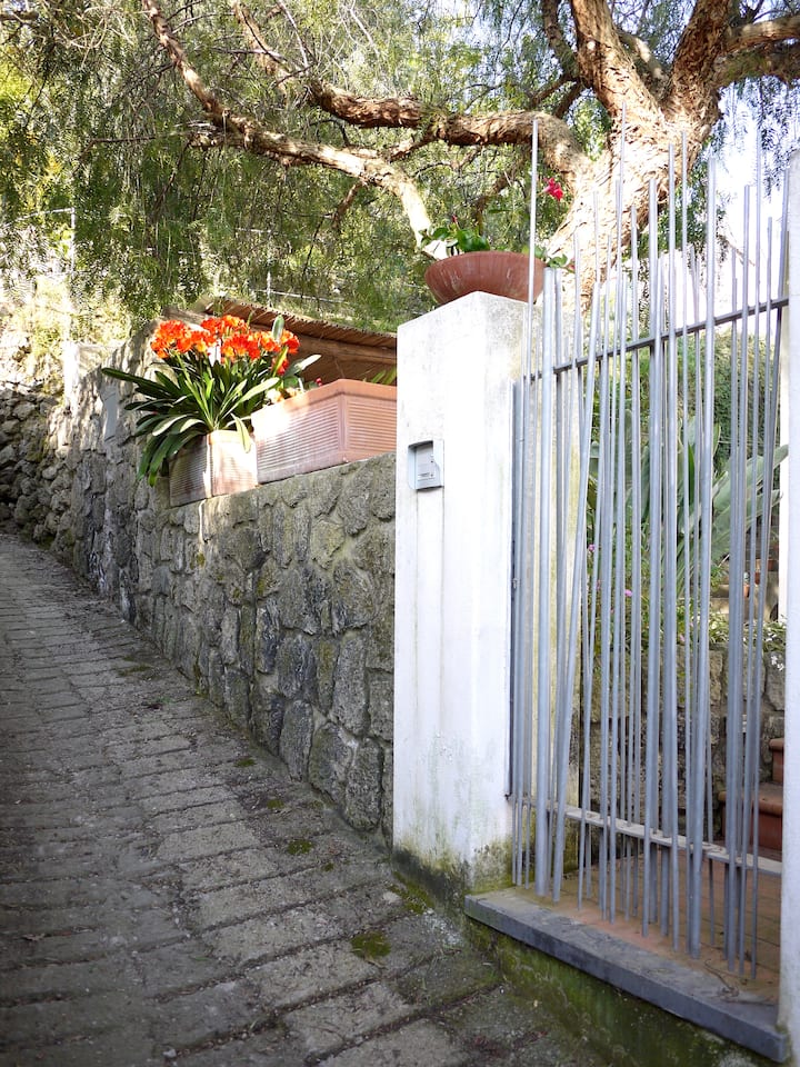 Panoramic villa near the vineyards
