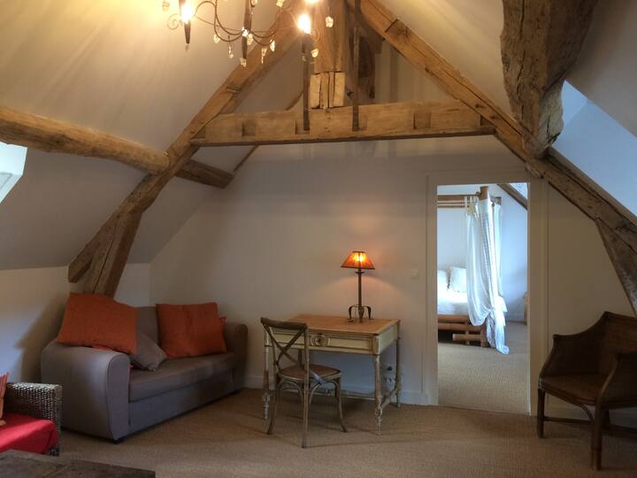 Appartement Dans Un Ancien Couvent Près D'orléans - Loiret