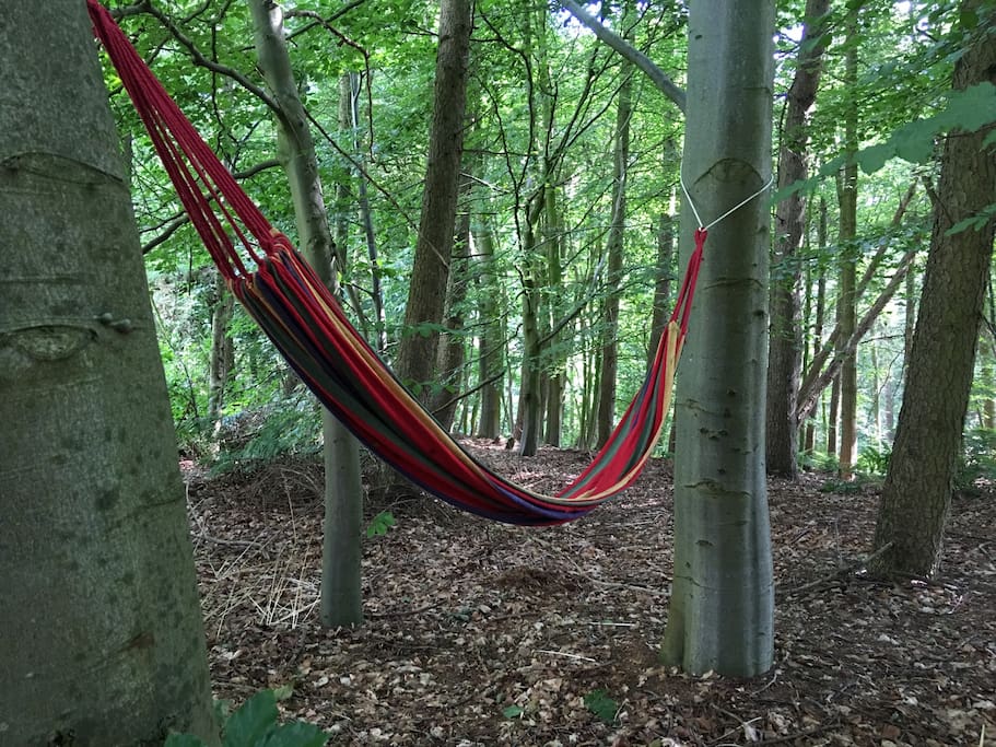 Enjoy some peace in the woods