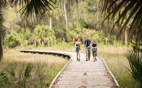 Experiencias únicas en Savannah