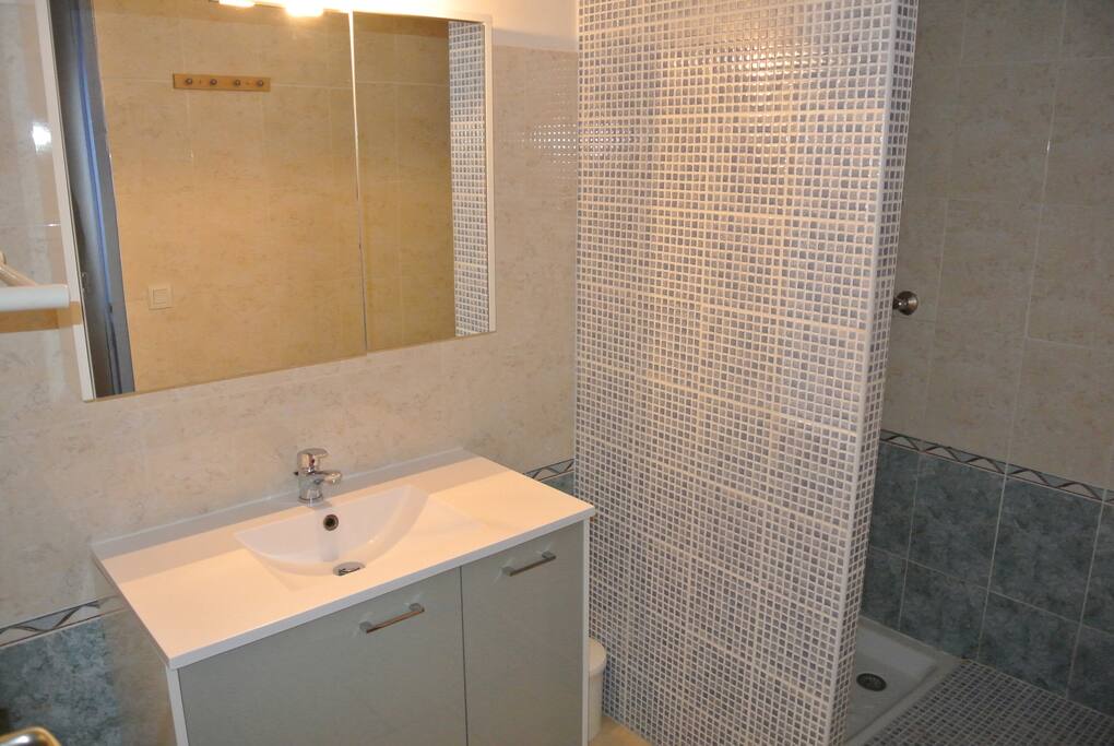 salle de bain avec douche