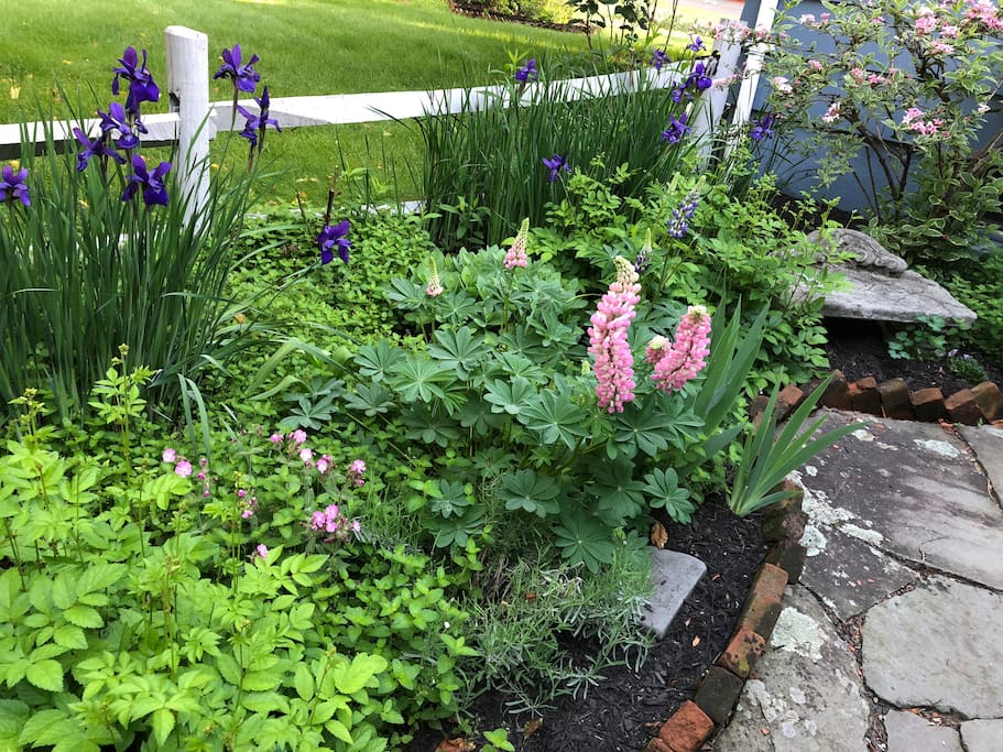 Garden to greet you as you enter the front