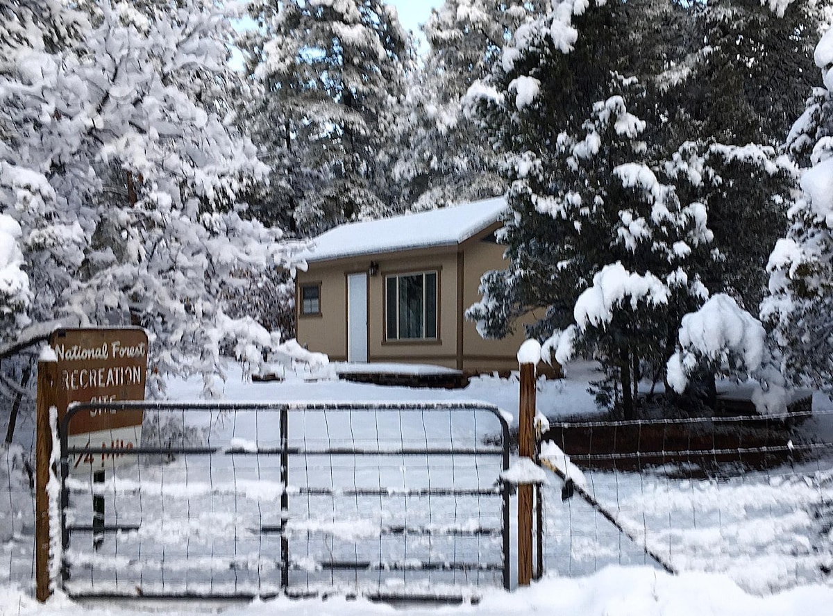 A snow-covered Tiny House is framed by trees blanketed in white. The front gate, made of wood and wire, is partially closed. A sign indicating 'National Forest Recreation' is prominently displayed. Light filters through large windows, hinting at a cozy interior.