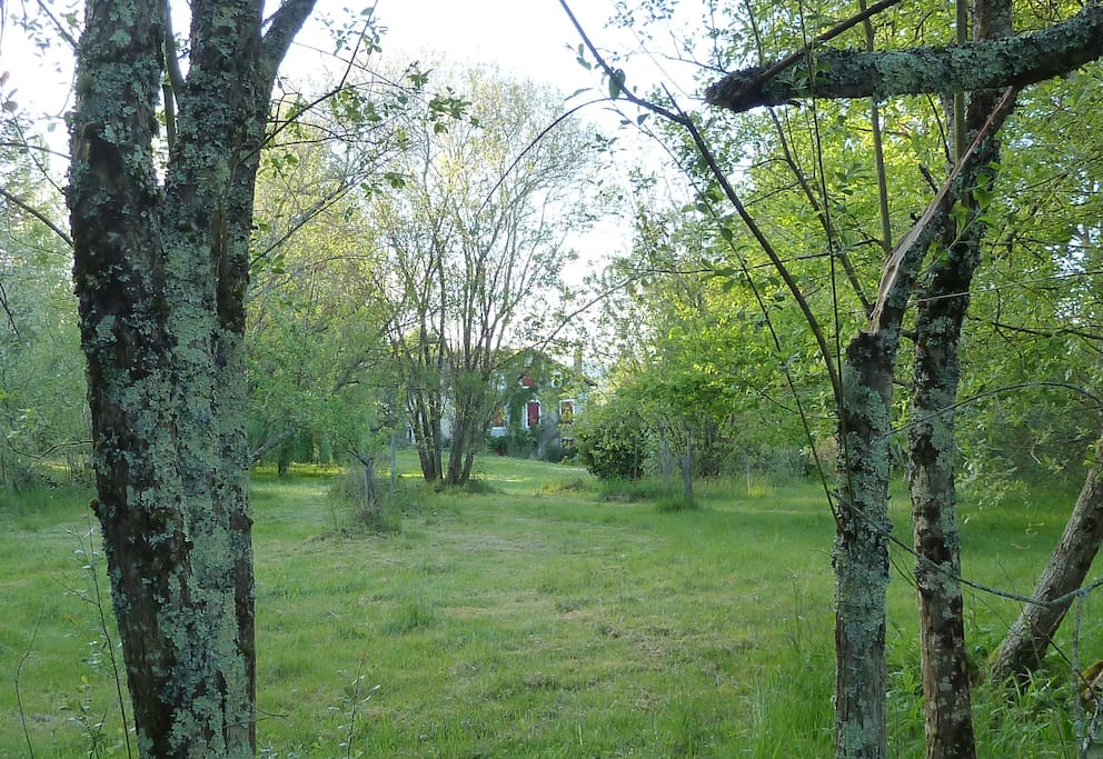 De tuin