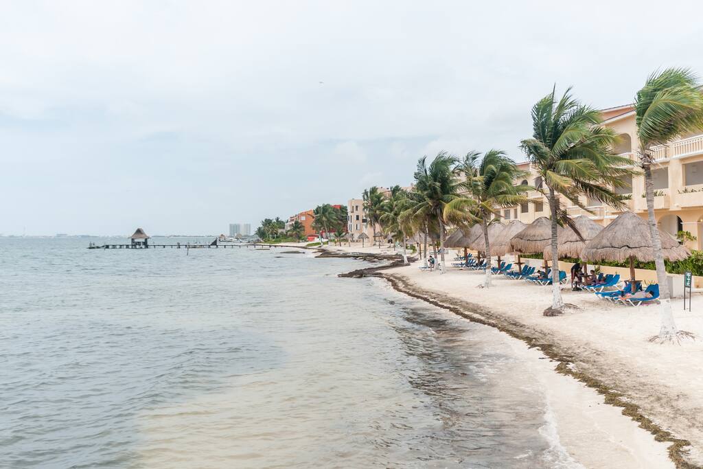 Las playas en Puerto Juárez son muy tranquilas y bellas, con una hermosa vista hacia Cancún e Isla Mujeres.
The beaches in Puerto Juarez are very quiet and beautiful, with a beautiful view towards Cancun and Isla Mujeres