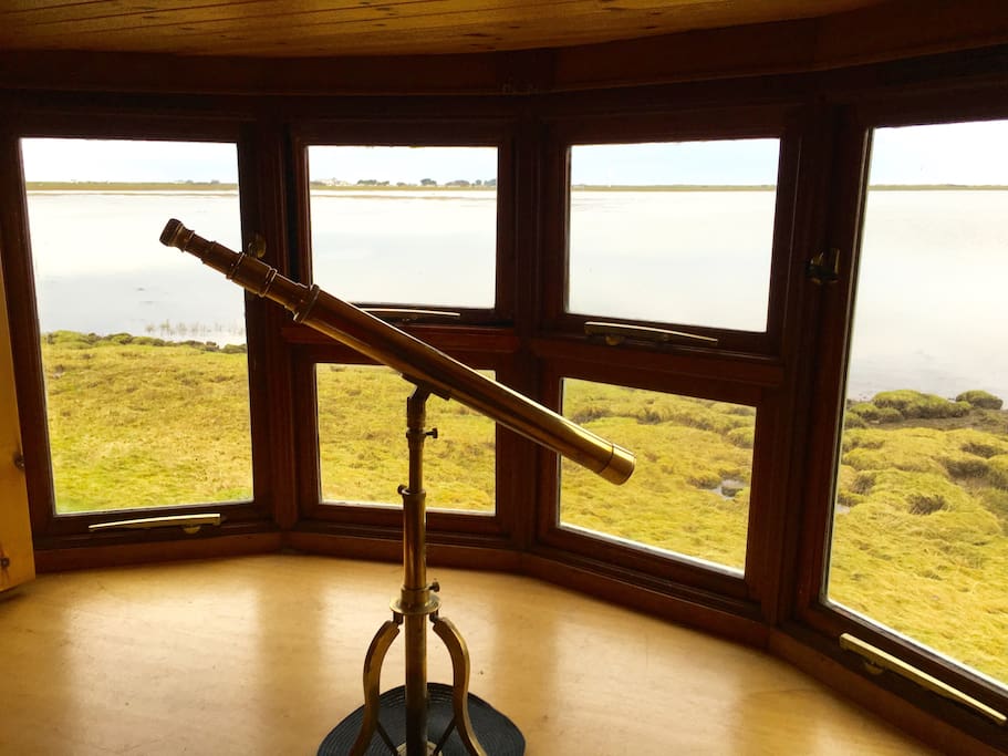 Perfect for bird watchers!
