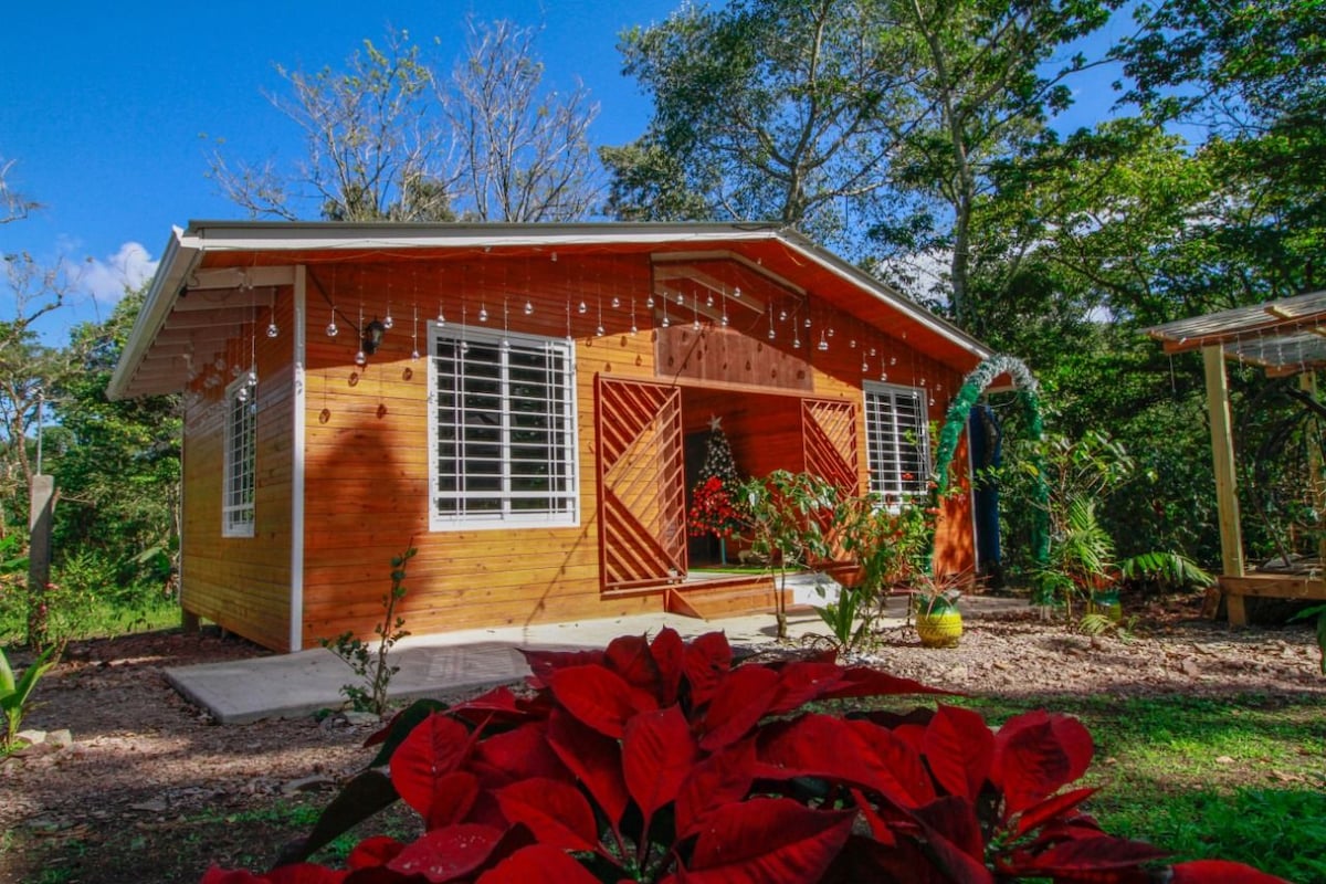 A charming wooden cabin is framed by vibrant tropical plants. The exterior features large windows that allow natural light to fill the interior. A welcoming porch with decorative elements invites relaxation, surrounded by lush greenery and bright flowers.