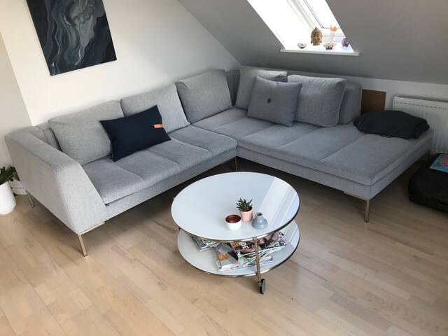 Download Strand tema indretning For Free Strand Tema Indretning