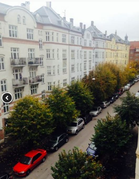 The street