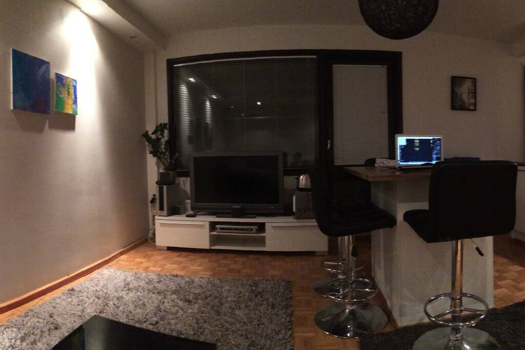 Overview of the living room