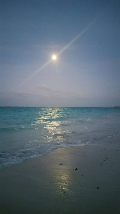 Moon rising at dusk
