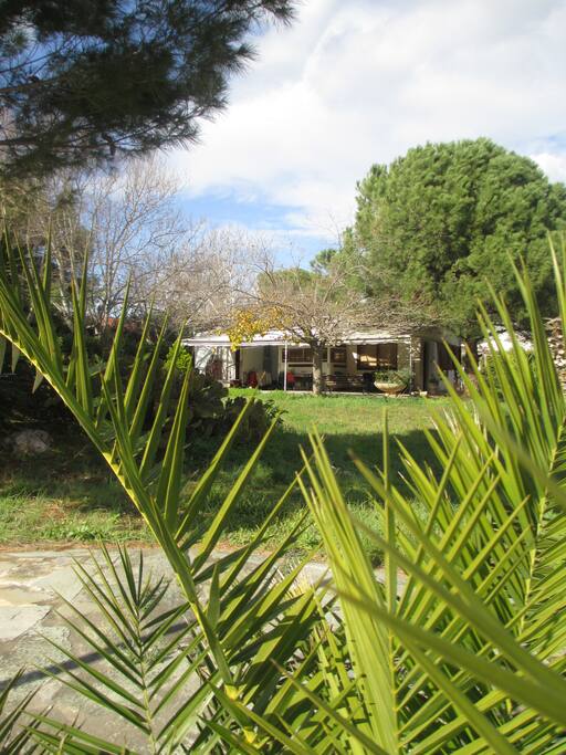 The Caravan And the Garden