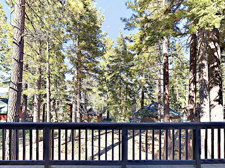 The wooded lot affords forest views