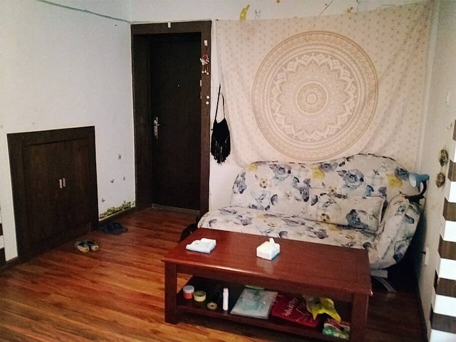 living room, the sofa can put down to be a bed too