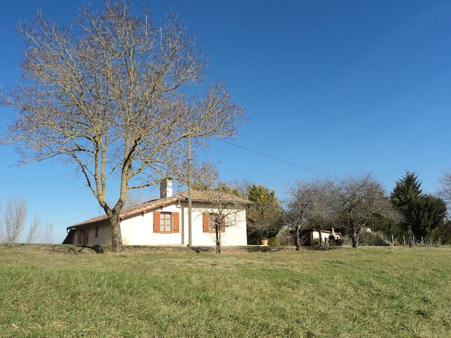 listing_image