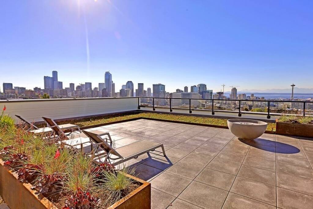 View from the rooftop