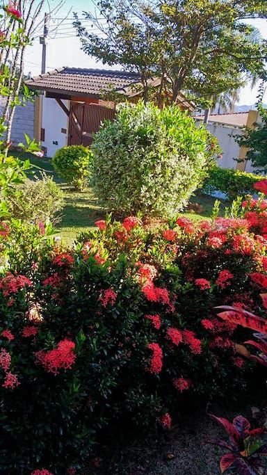 Jardim