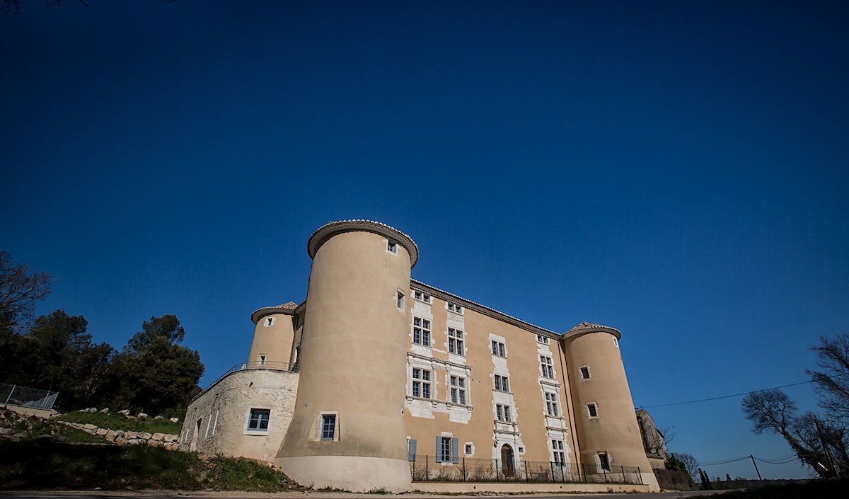 The château features an impressive façade, showcasing its historical architecture with turret-like structures on either side. The light-colored exterior contrasts with the deep blue sky, while the surrounding greenery provides a serene backdrop, highlighting the castle's presence in a natural setting.