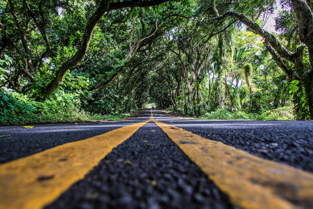 Take a slow, relaxing drive on Kalapana - Kapoho Road known as the "Red Road".