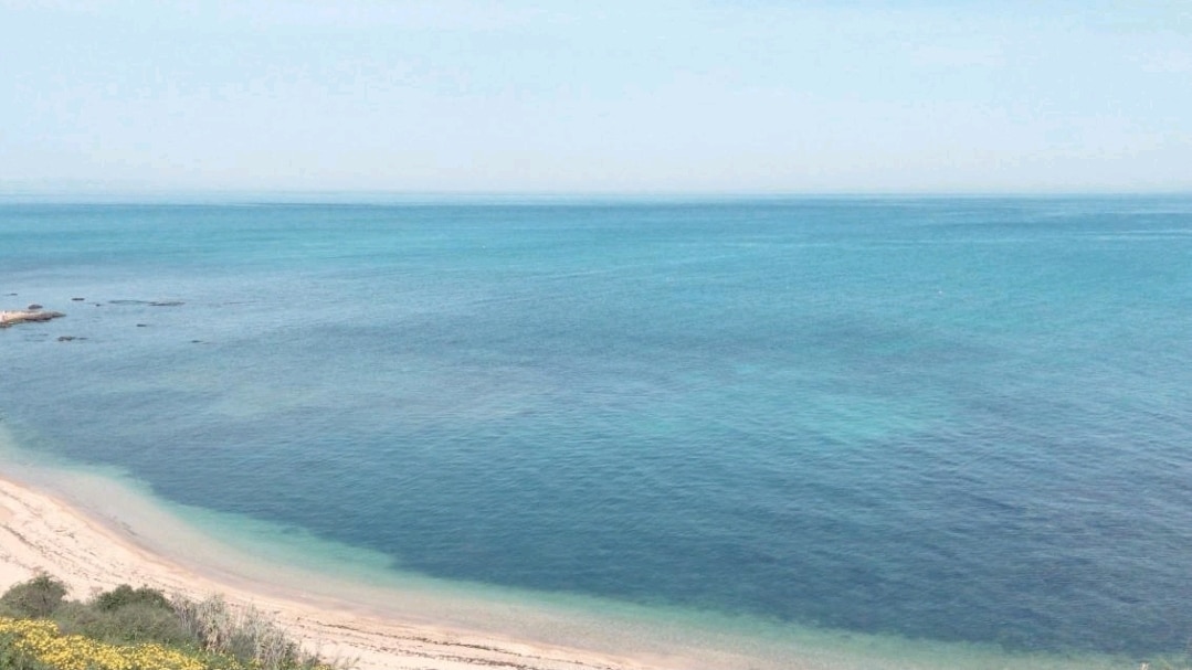 An expansive view of the calm Mediterranean Sea is captured, showcasing varying shades of blue and turquoise. The shoreline is visible in the foreground, with gentle waves lapping at the sandy beach. The horizon meets an unobstructed sky, enhancing the serene atmosphere.