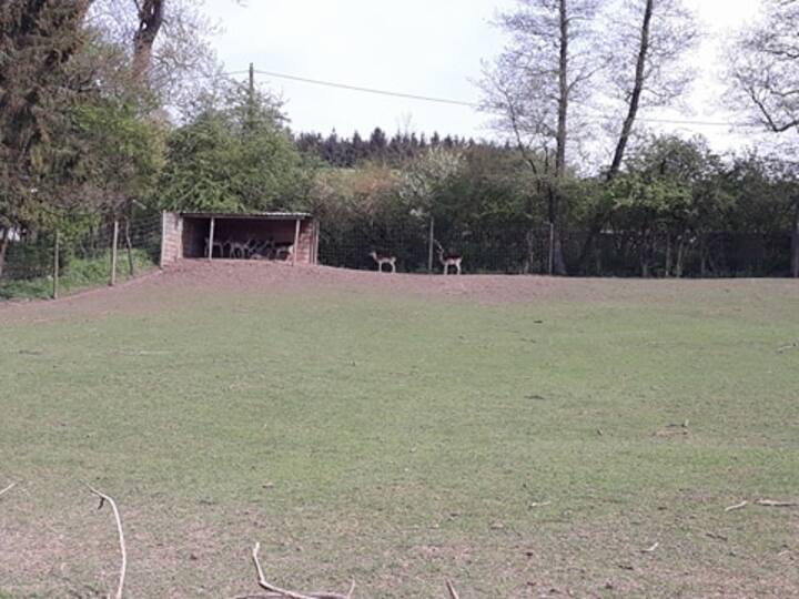 Freistroff Vacation Rentals Homes Grand Est France Airbnb