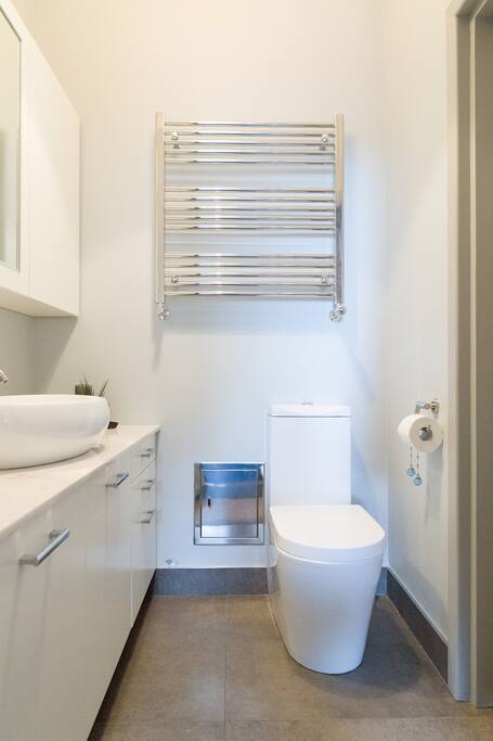 Toilet with shower