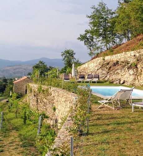 A swimming pool is surrounded by a stone wall, with lounge chairs positioned along the edge. Lush greenery and vineyards can be seen in the background, framing the pool area. The landscape encompasses rolling hills under a clear sky.