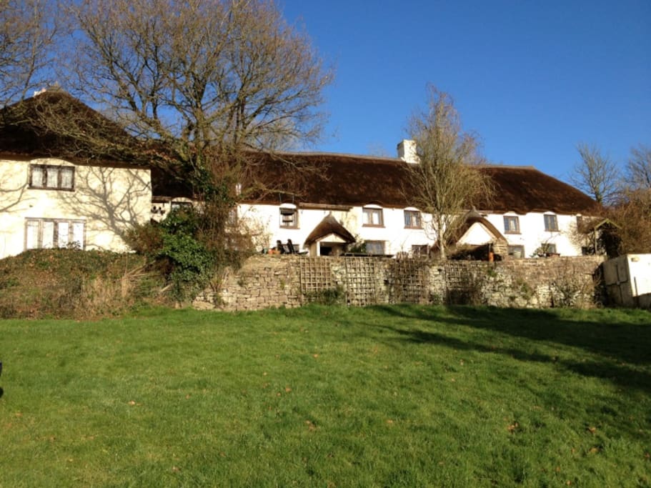 Wigham winter sunshine
