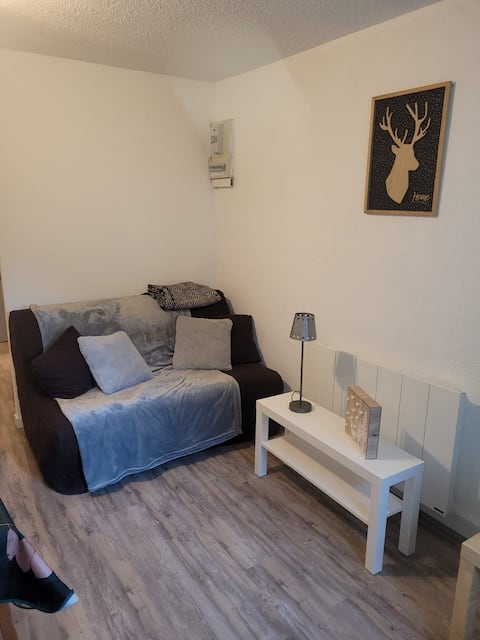 Successful Airbnb property: lovely 23 m² apartment in Abondance