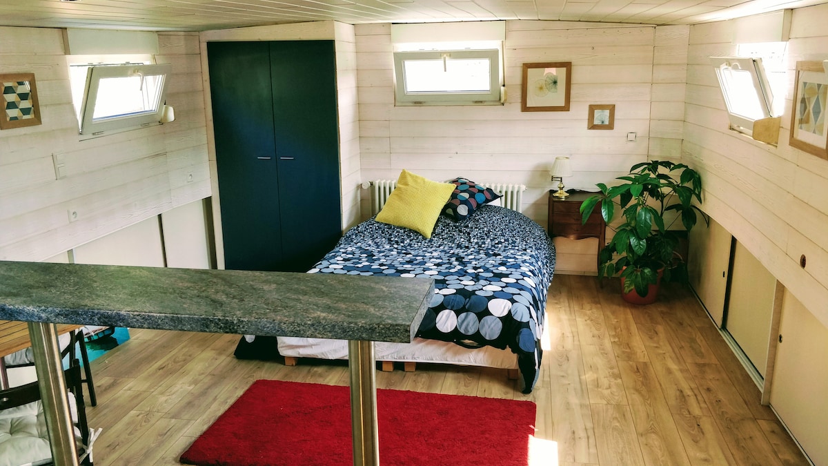 נוף לסטודיו