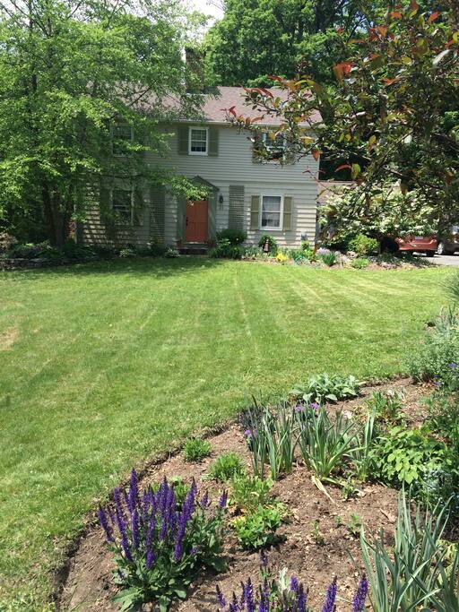 Front yard