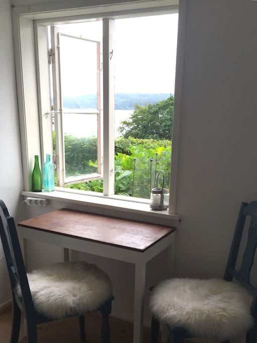 View from the writing desk