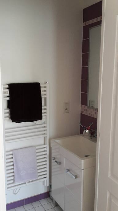 salle d'eau privative