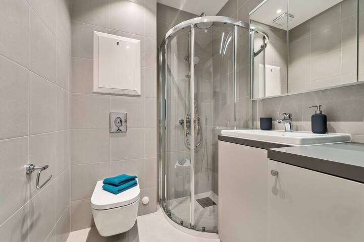 Apartment in the centre of capital Oslo