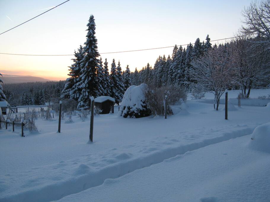 Blick aus dem Fenster