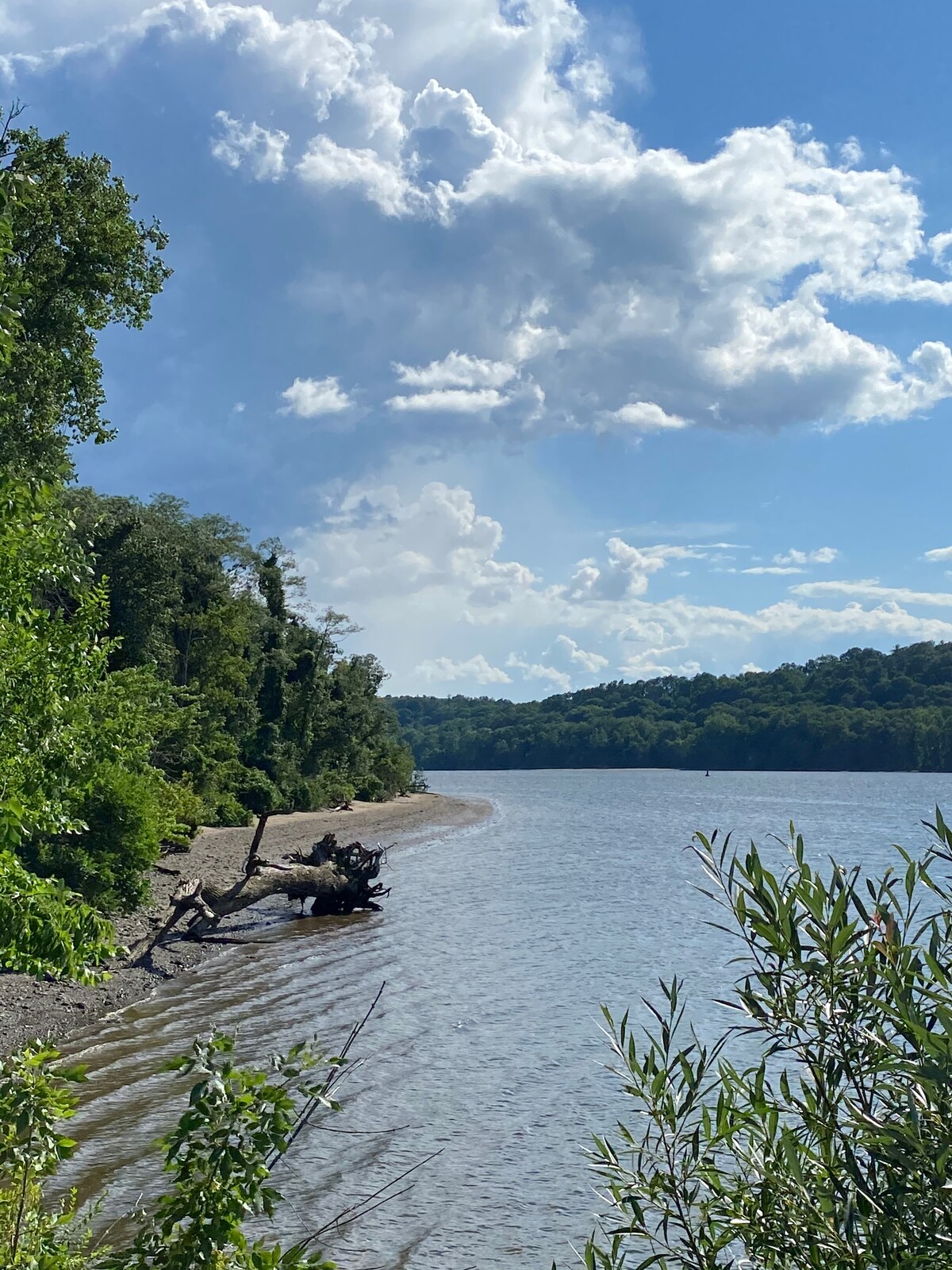 A serene riverbank is captured, lined with lush greenery and sunlit trees. The tranquil waters reflect a partly cloudy sky, with wispy clouds floating above. The shoreline curves gently, inviting exploration of the natural surroundings.