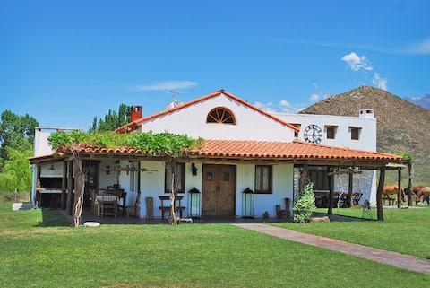 House in your own vineyard - Mosquita Muerta Wines