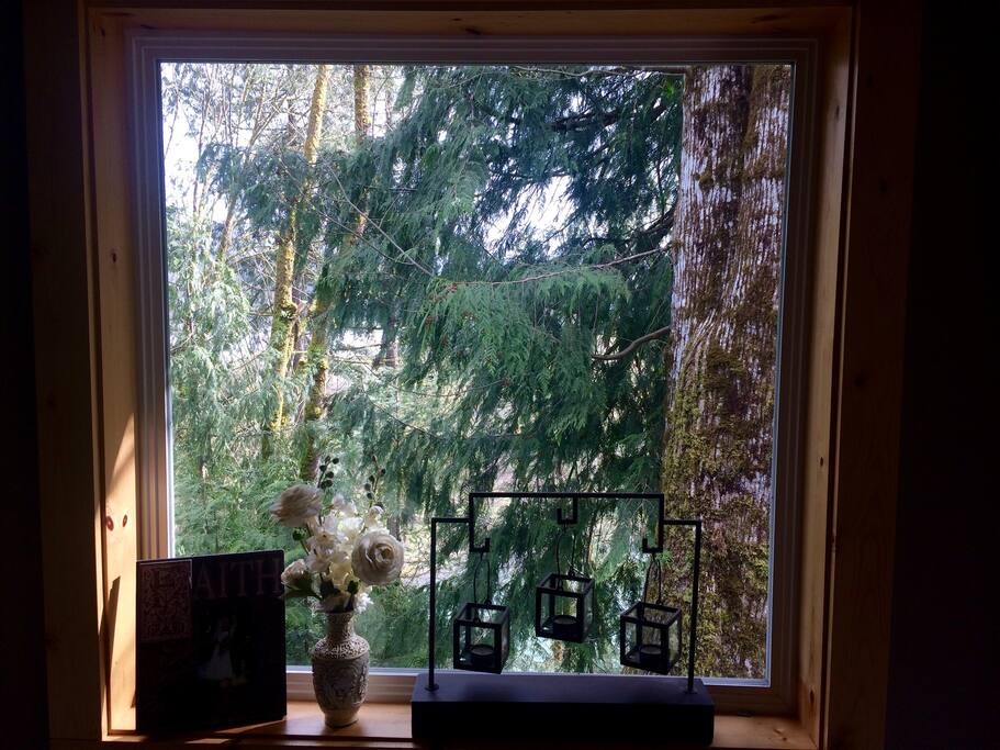 View of the river within the cabin