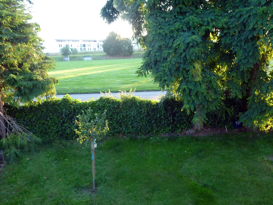 jardin et vue arrière maison