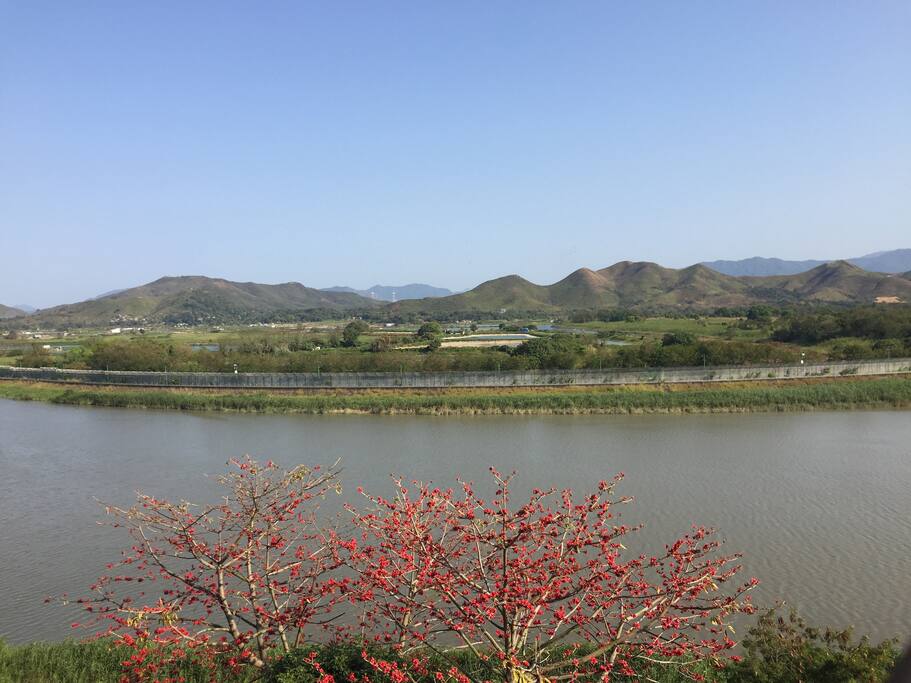 阳台外景,香港山景