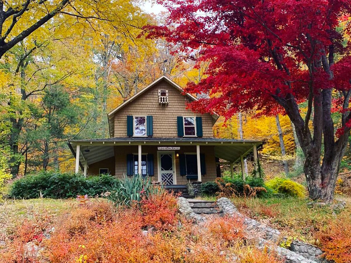 Lily of the Valley Tranquil Antique Cabin Cabañas en renta en West