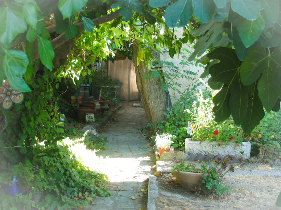 The Garden.