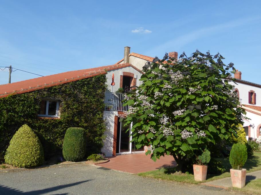 Depuis la cour