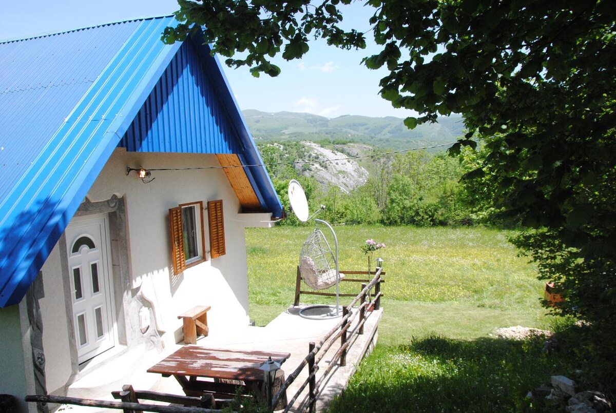 A charming house with a blue roof is surrounded by greenery and mountains. A wooden table is situated outside on a small patio, next to a unique hanging chair. The vibrant landscape features a field of flowers in the background, providing a serene outdoor setting.
