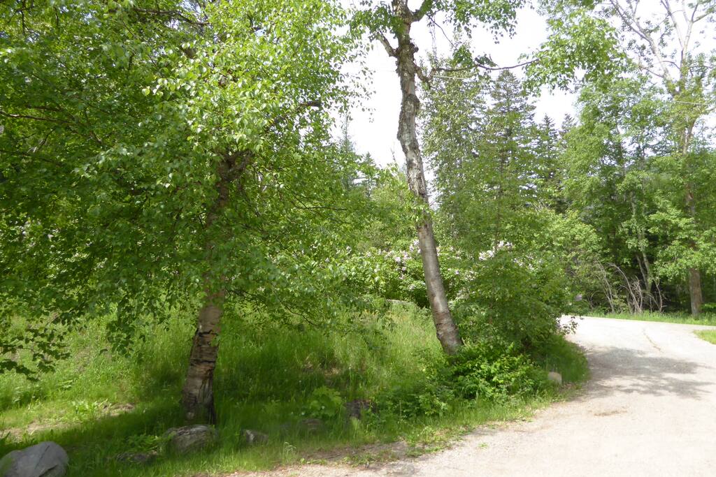 driveway into property