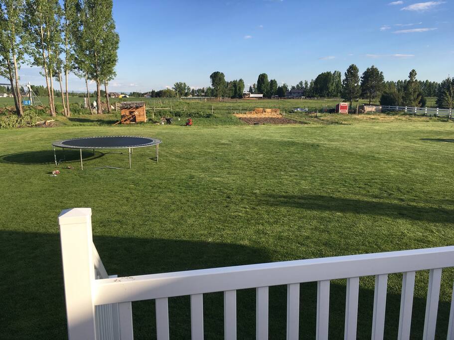 A nice open backyard