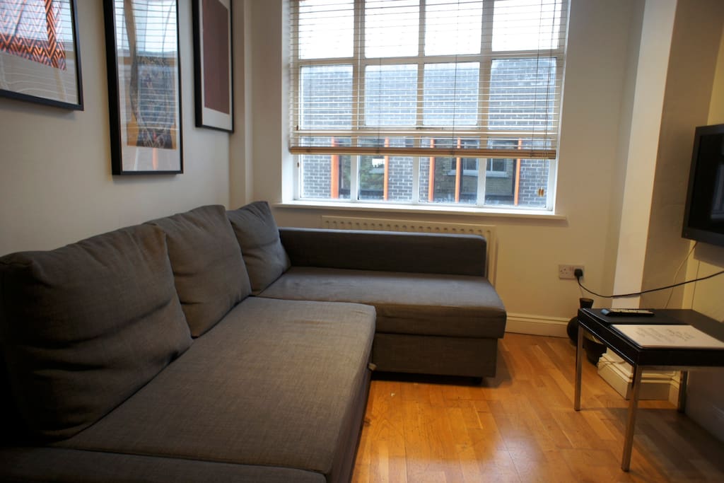 Here's the Living Room with Double Sofa-bed
