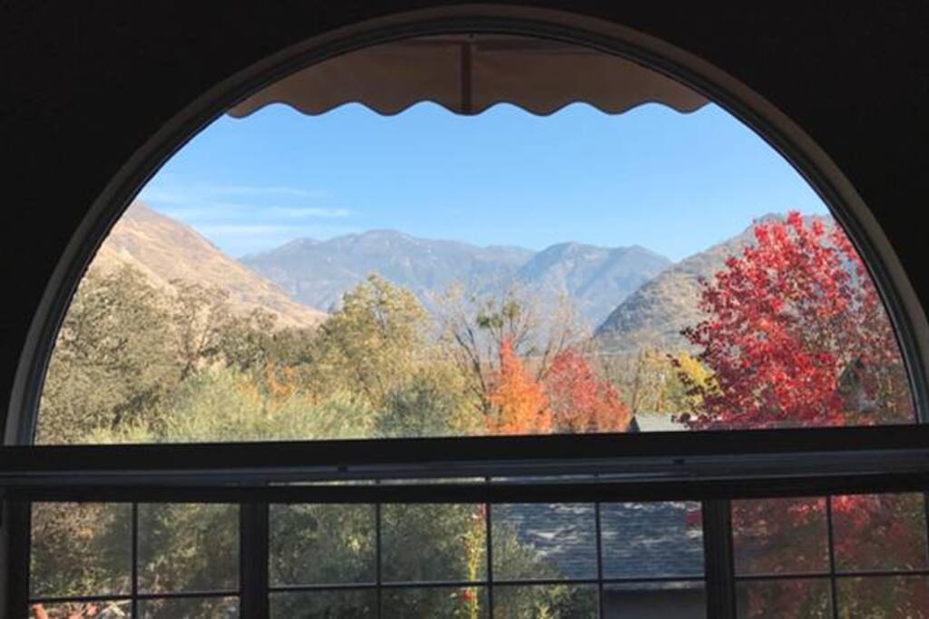Views from the living room through large bay window