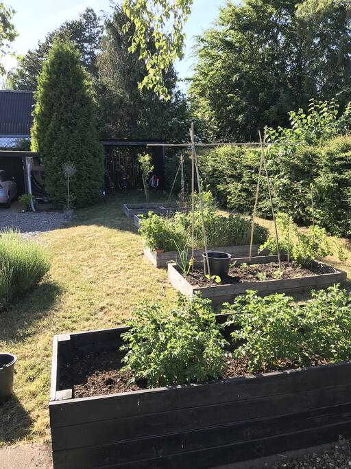 Garten North